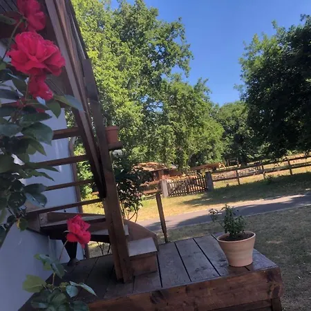 Au Bord Du Lac De Biscarrosse Дом отдыха *
