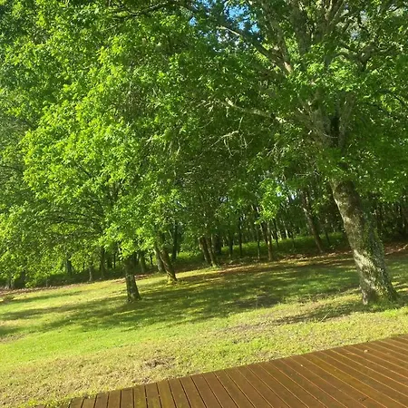 Au Bord Du Lac De Biscarrosse Паранти-ан-Борн